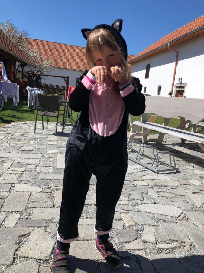 Penzion A Hospoda Na Statku Hluboká nad Vltavou Buitenkant foto