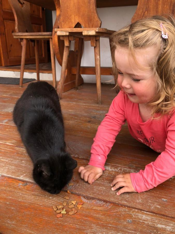 Penzion A Hospoda Na Statku Hluboká nad Vltavou Buitenkant foto